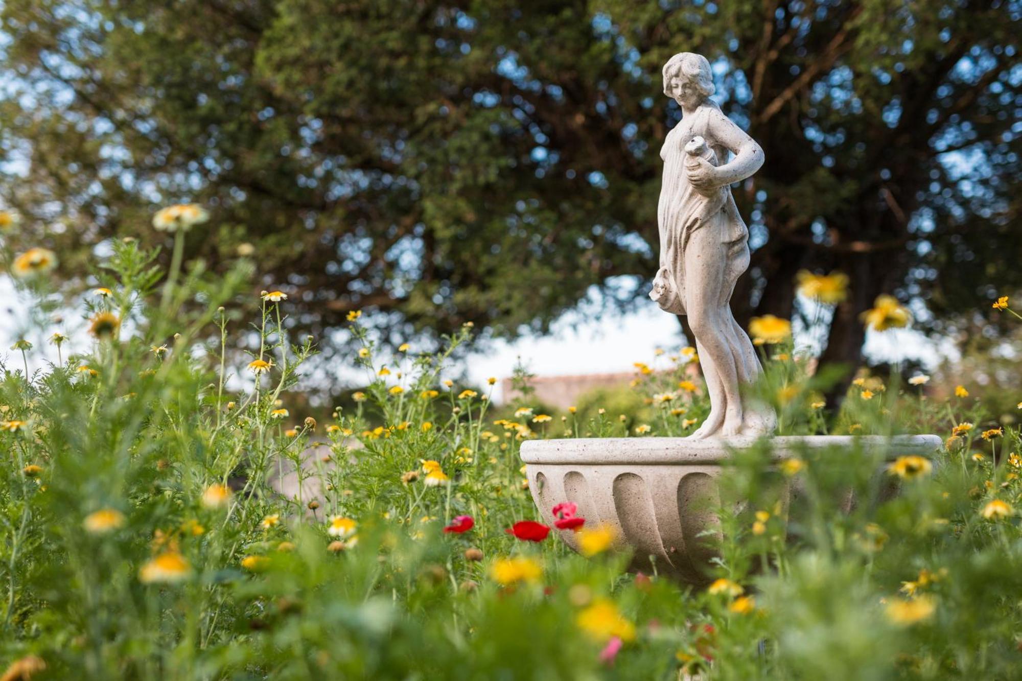 Chateau Montplaisir Charming B&B In Provence Valréas Exteriér fotografie