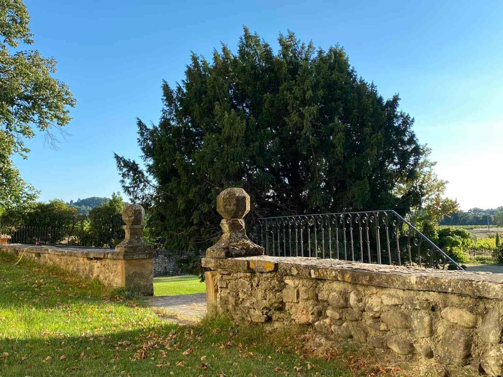 Chateau Montplaisir Charming B&B In Provence Valréas Exteriér fotografie
